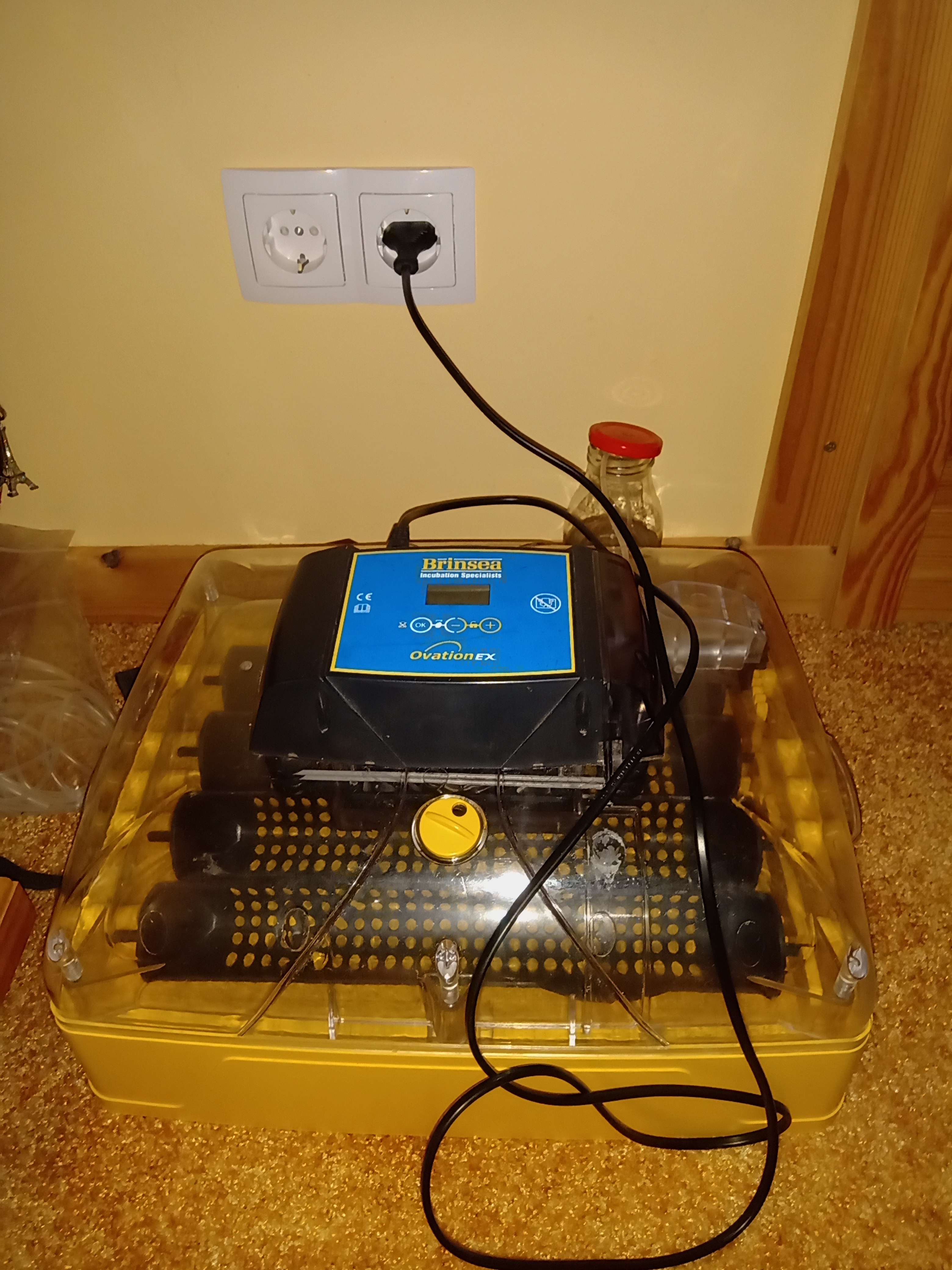 Der Brutautomat ist bereit!